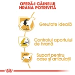 ROYAL CANIN Beagle Adult, hrană uscată câini, 3kg