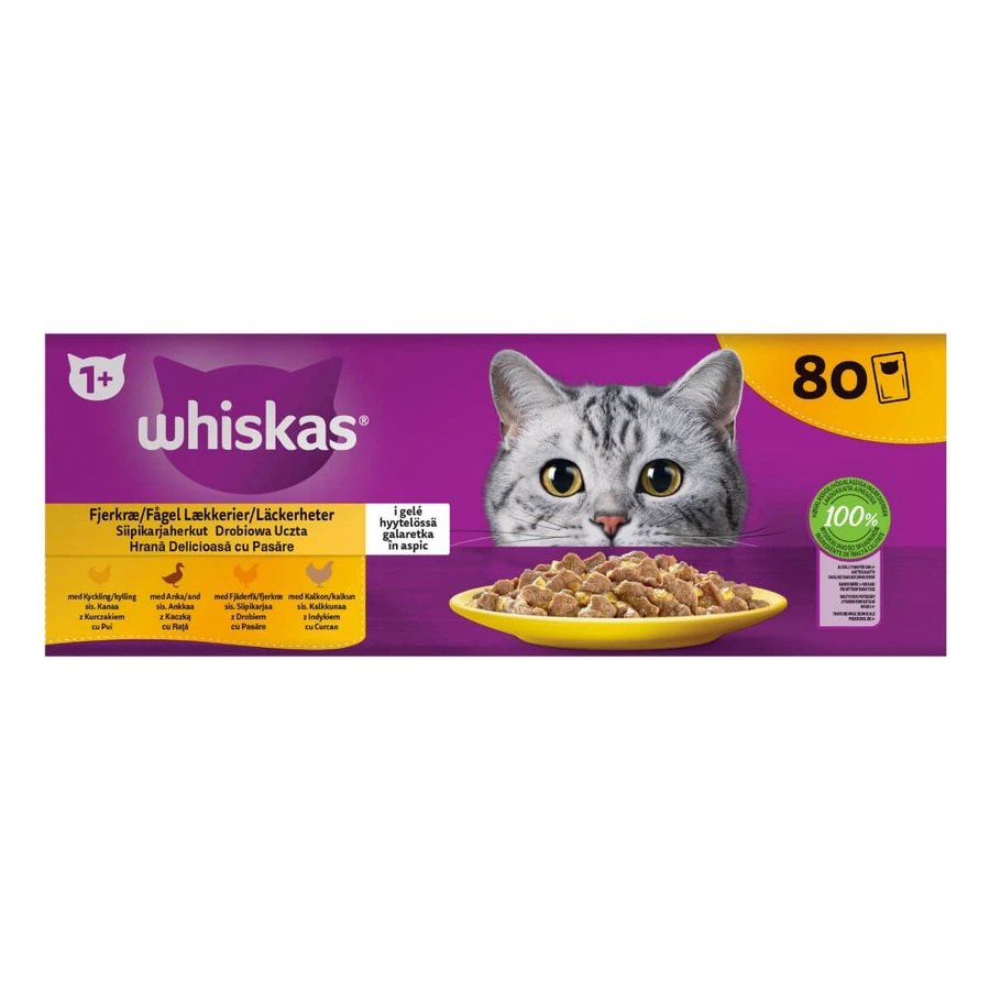 WHISKAS 1+ Poultry Feasts Selections, drób, mokra karma dla kotów w saszetkach (w galarecie), opakowanie zbiorcze, 85 g × 80: ceny i cechy