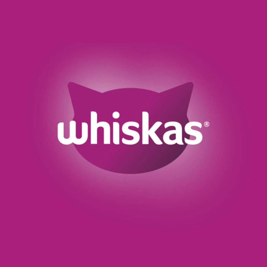 WHISKAS 1+ Poultry Feasts Selections, drób, mokra karma dla kotów w saszetkach (w galarecie), opakowanie zbiorcze, 85 g × 80: ceny i cechy