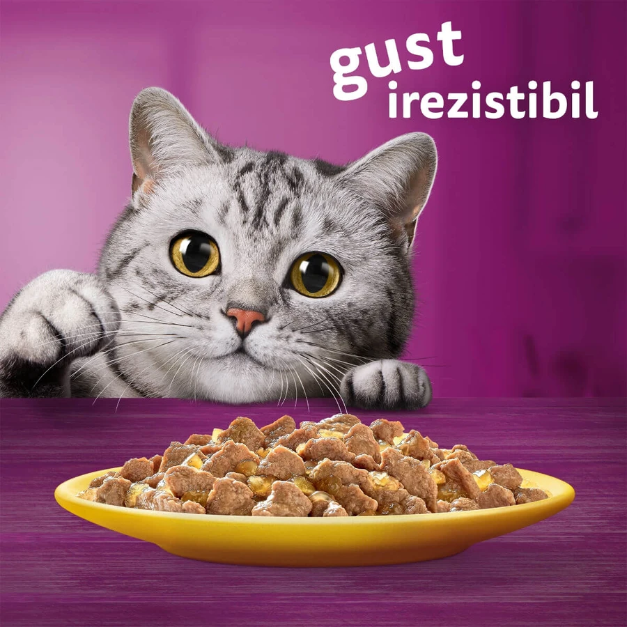 WHISKAS 1+ Poultry Feasts Selections, drób, mokra karma dla kotów w saszetkach (w galarecie), opakowanie zbiorcze, 85 g × 80: ceny i cechy