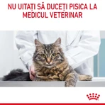 ROYAL CANIN Appetite Control Care Adult hrană uscată pisici reglarea apetitului, 2kg