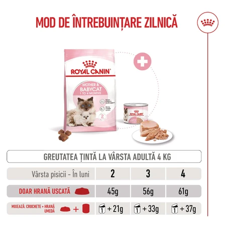 ROYAL CANIN Mother & BabyCat, droogvoer voor moederkatten en kittens, 2 kg