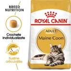 ROYAL CANIN Maine Coon Adult, croccantini per gatti, 4 kg