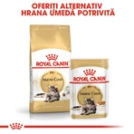 ROYAL CANIN Maine Coon Adult, croccantini per gatti, 4 kg