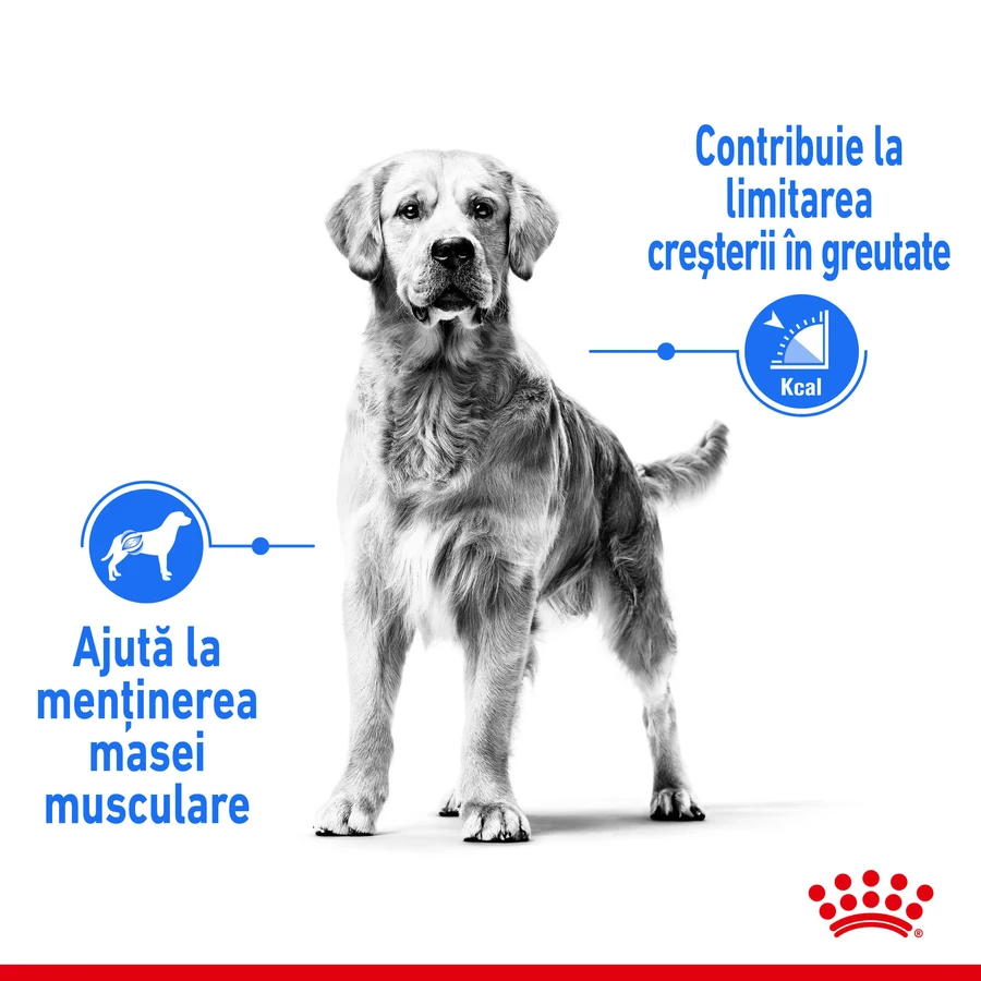 ROYAL CANIN Medium Light Weight Care Adult, hrană uscată câini, limitarea creșterii în greutate, 3kg
