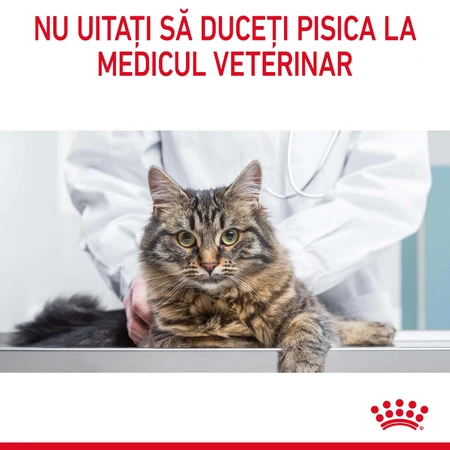 ROYAL CANIN Light Weight Care Adult Dry Cat Food for Weight Management, 1.5 kg