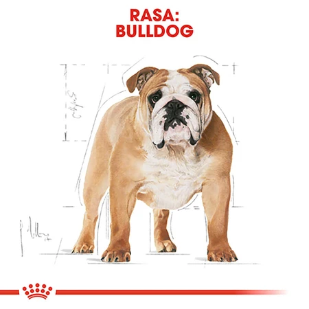 ROYAL CANIN Bulldog Adult, hrană uscată câini, 3kg