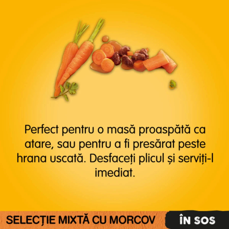 PEDIGREE Razza mista, XS-XL, Manzo e tacchino, cibo umido per cani in bustine (in salsa), confezione multipla, 100 g x 4