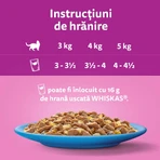 WHISKAS Selections, Pesce, Alimento umido per gatti in bustine (in gelatina), confezione multipla, 85 g x 12