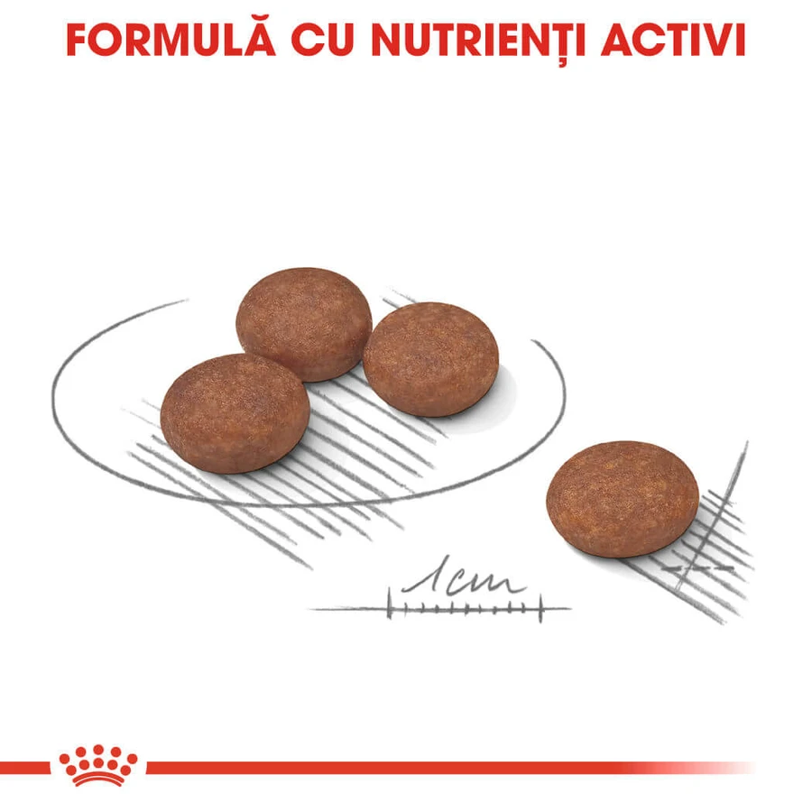 ROYAL CANIN Mini Digestive Care, hrană uscată câini, confort digestiv, 1kg