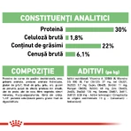 ROYAL CANIN Mini Digestive Care, hrană uscată câini, confort digestiv, 1kg
