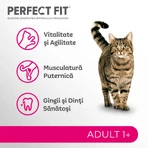 PERFECT FIT Cat Adult 1+, Somon, hrană uscată pisici, 750g