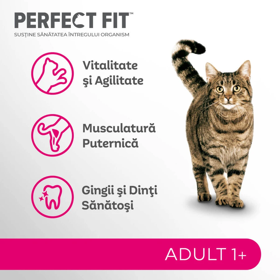 PERFECT FIT Cat Adult 1+, Somon, hrană uscată pisici, 750g
