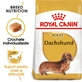 ROYAL CANIN Dachshund Adult, sucha karma dla psów, 1,5 kg
