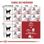 ROYAL CANIN Fit32 Adult, dry cat food, moderate physical activity, 2 kg