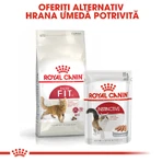ROYAL CANIN Fit32 Adult, dry cat food, moderate physical activity, 2 kg