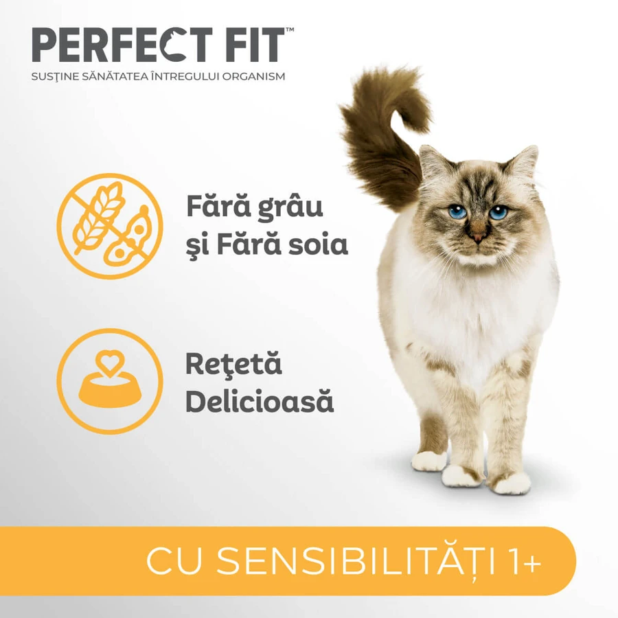 PERFECT FIT Cat Sensitive 1+, Curcan, hrană uscată pisici, sistem digestiv, 750g