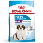 ROYAL CANIN Giant Puppy, croccantini per cuccioli, Fase 1 della crescita, 3,5 kg