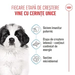 ROYAL CANIN Giant Puppy, croccantini per cuccioli, Fase 1 della crescita, 3,5 kg