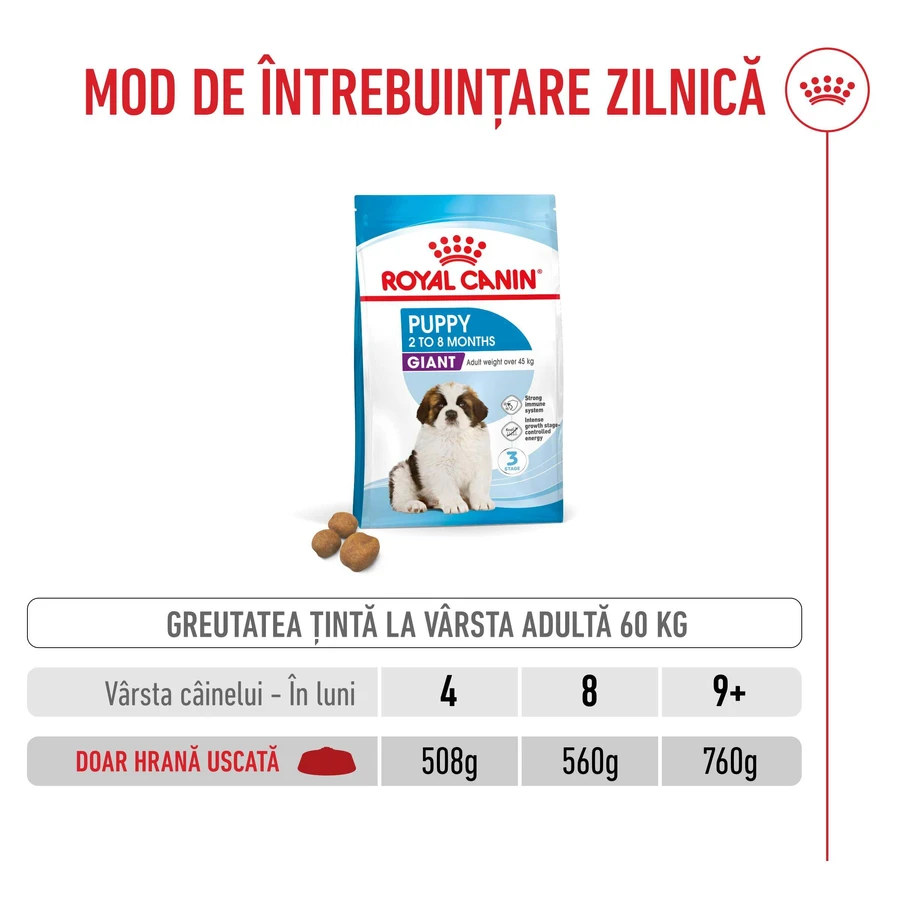 ROYAL CANIN Giant Puppy, croccantini per cuccioli, Fase 1 della crescita, 3,5 kg