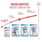 ROYAL CANIN Giant Puppy, croccantini per cuccioli, Fase 1 della crescita, 3,5 kg