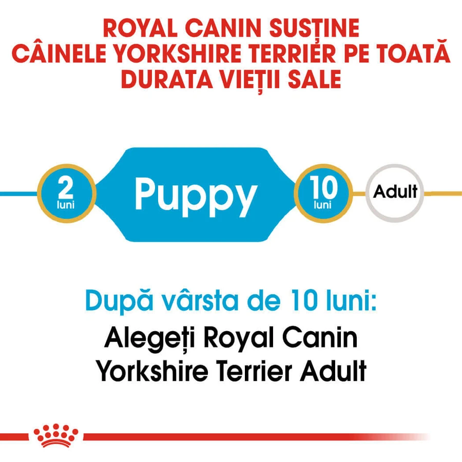 ROYAL CANIN Yorkshire Puppy, Trockenfutter für junge Hunde, 500 g