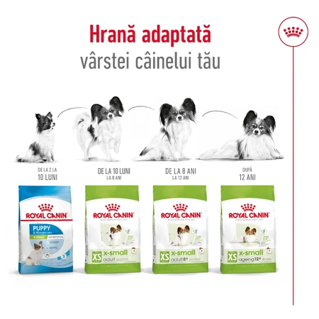 ROYAL CANIN X-Small Adult, dry dog food, 500g
