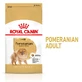 ROYAL CANIN Poméranien Adulte, croquettes pour chien, 1,5 kg