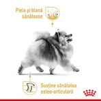 ROYAL CANIN Poméranien Adulte, croquettes pour chien, 1,5 kg