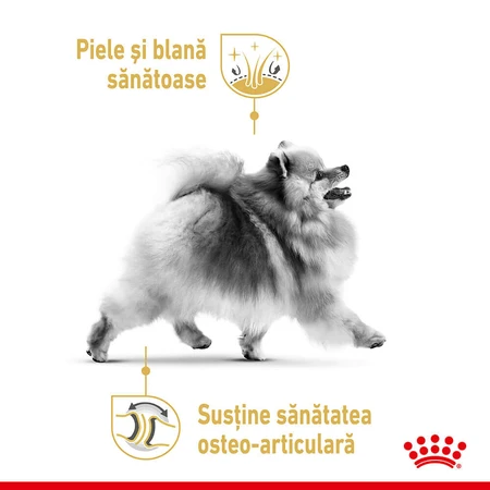 ROYAL CANIN Poméranien Adulte, croquettes pour chien, 1,5 kg