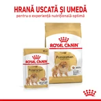 ROYAL CANIN Poméranien Adulte, croquettes pour chien, 1,5 kg
