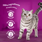 WHISKAS Pure Delight, Poultry, wet cat food pouches (in aspic), multipack, 85g x 12