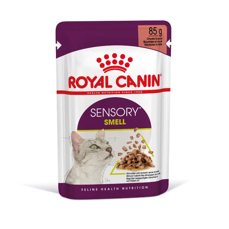 ROYAL CANIN Sensory Smell - Alimento umido per gatti per stimolare l'olfatto (in salsa), confezione da 12 vasetti da 85 g