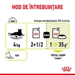 ROYAL CANIN Sensory Smell - Alimento umido per gatti per stimolare l'olfatto (in salsa), confezione da 12 vasetti da 85 g