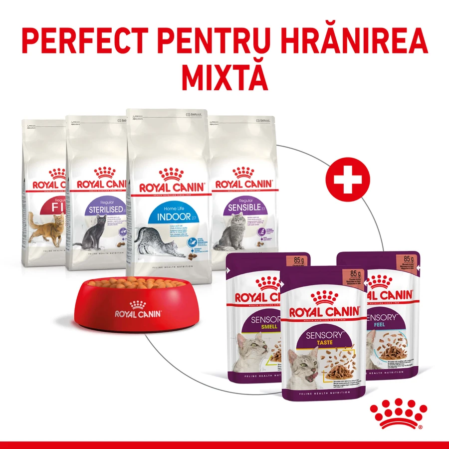 ROYAL CANIN Sensory Smell - Alimento umido per gatti per stimolare l'olfatto (in salsa), confezione da 12 vasetti da 85 g