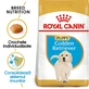 ROYAL CANIN Golden Retriever Puppy, sucha karma dla młodych psów, 3 kg