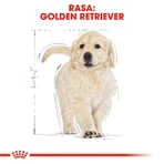 ROYAL CANIN Golden Retriever Puppy, hrană uscată câini junior, 3kg