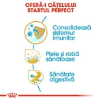 ROYAL CANIN Golden Retriever Puppy, hrană uscată câini junior, 3kg