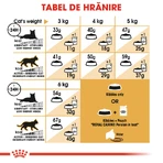 ROYAL CANIN Persian Adult, hrană uscată pisici, 400g