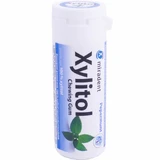 XILITOLO 30 GOMMA DA MASTICARE ALLA MENTA PIPERITA