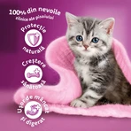 WHISKAS Junior, Kurczak, sucha karma dla młodych kotów, 1,4 kg: ceny i cechy