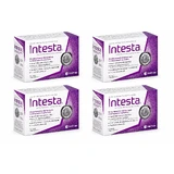 Intesta, 4x60 capsule, Bioton