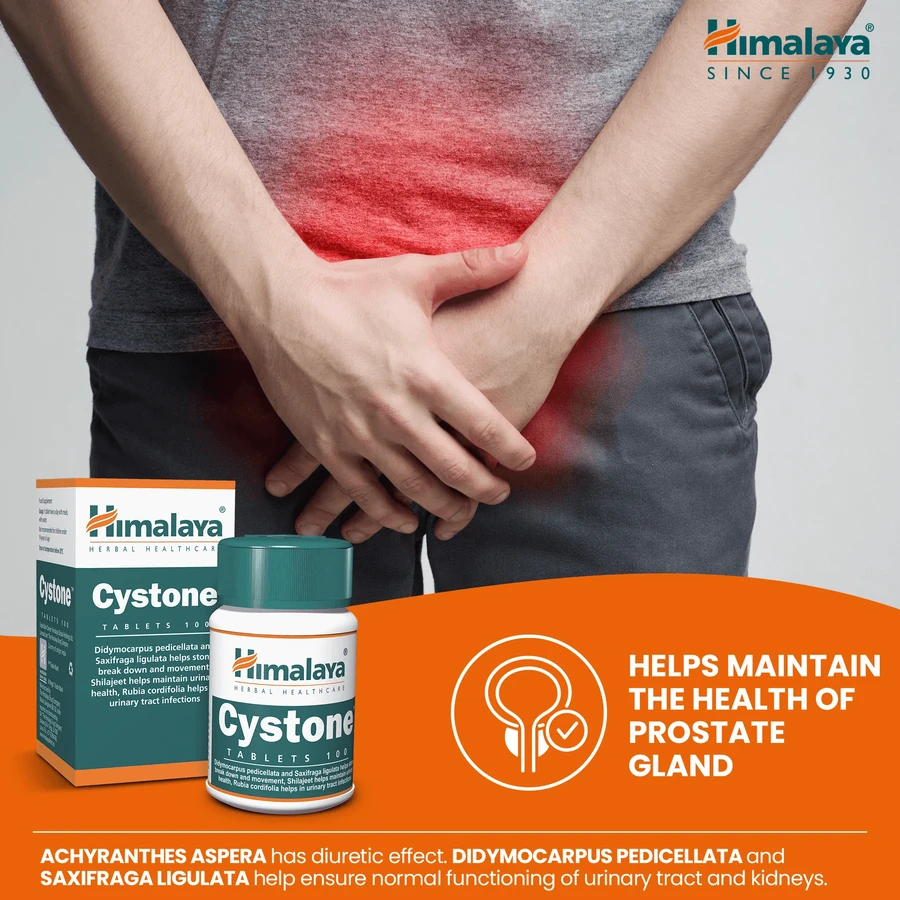 Cystone, 4x100 tabletten, Himalaya