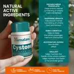 Cystone, 4x100 tabletten, Himalaya
