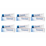 Traumeel S ungüento, 6x50 g, Heel
