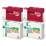 Coffret SiderAL Forte, 60 gélules + ArmoLIPID PLUS, 120 comprimés