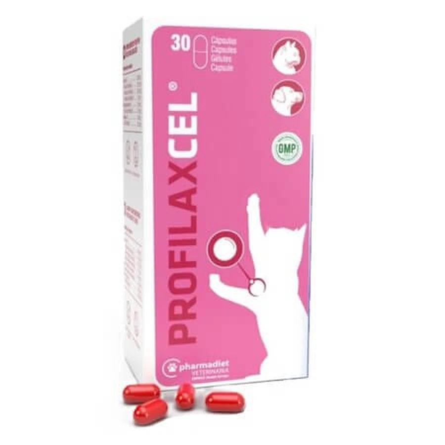 Profilaxcel – suplement diety dla psów i kotów, 30 kapsułek, Pharmadiet: ceny i cechy