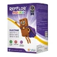 Refflor Multikids, 30 Tabletten, Hyllan