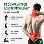Pachet ArtroHelp Forte, 2x42 plicuri, Zenyth