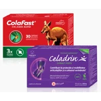 Celadrin-Extrakt Forte + ColaFast Rapid Collagen-Set, Good Days Therapy